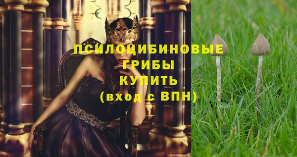 амф Балахна