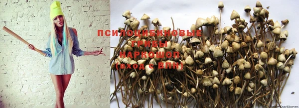 амф Балахна